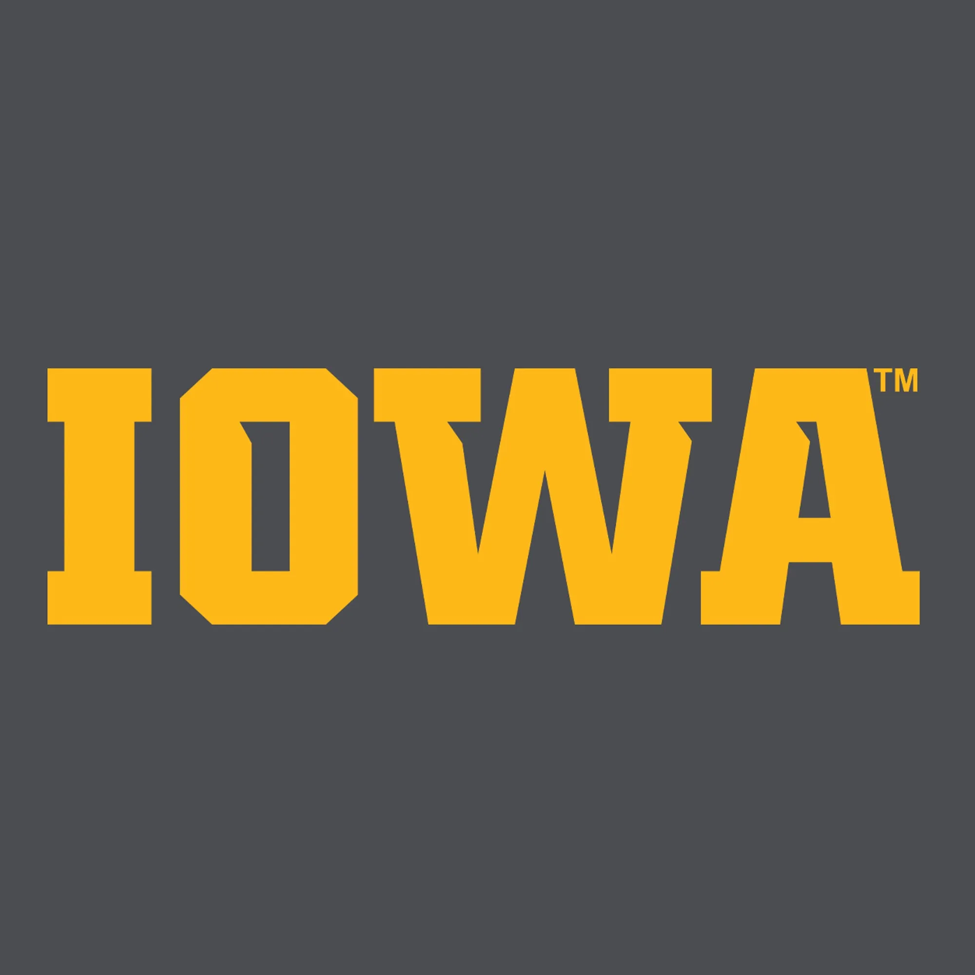 Iowa Wordmark EMB CC Garment Dyed Hoodie - Pepper